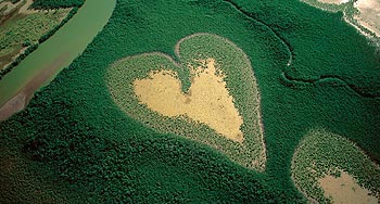 earth from the air